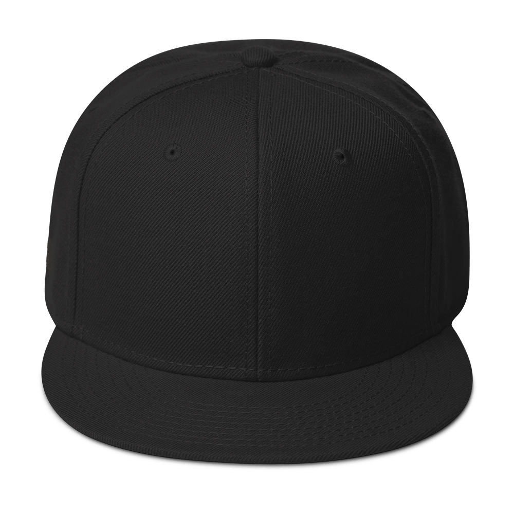 Snapback Hat - The Black Youth - Embroidered