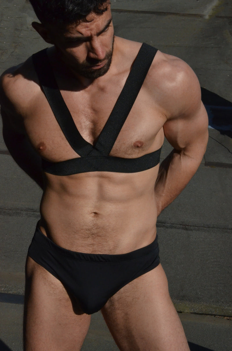 Harness, Classic V-Shape Chest Piece - Woven Finish Elastics