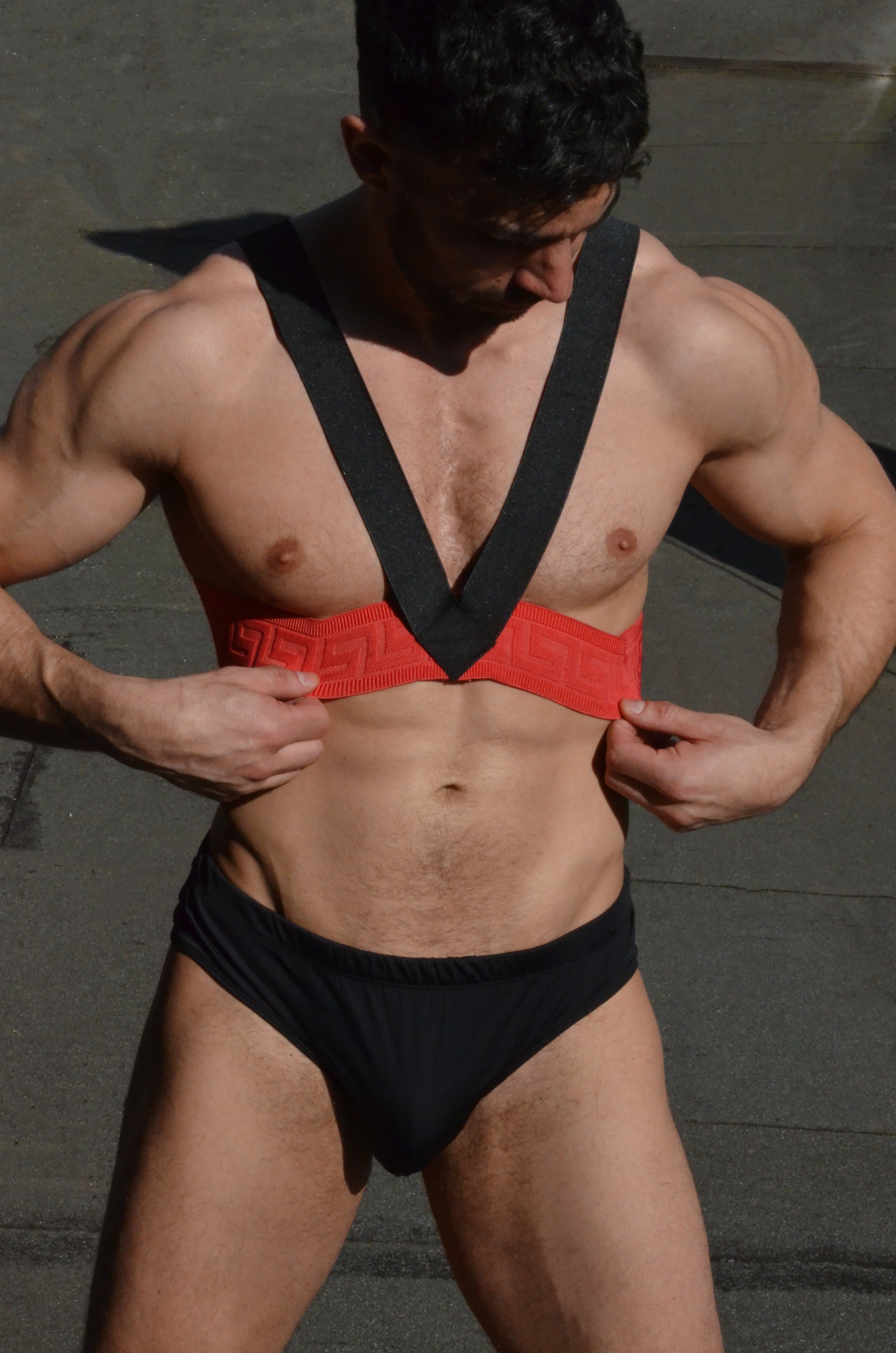 Harness, Classic V-Shape Chest Piece - Woven Finish Elastics
