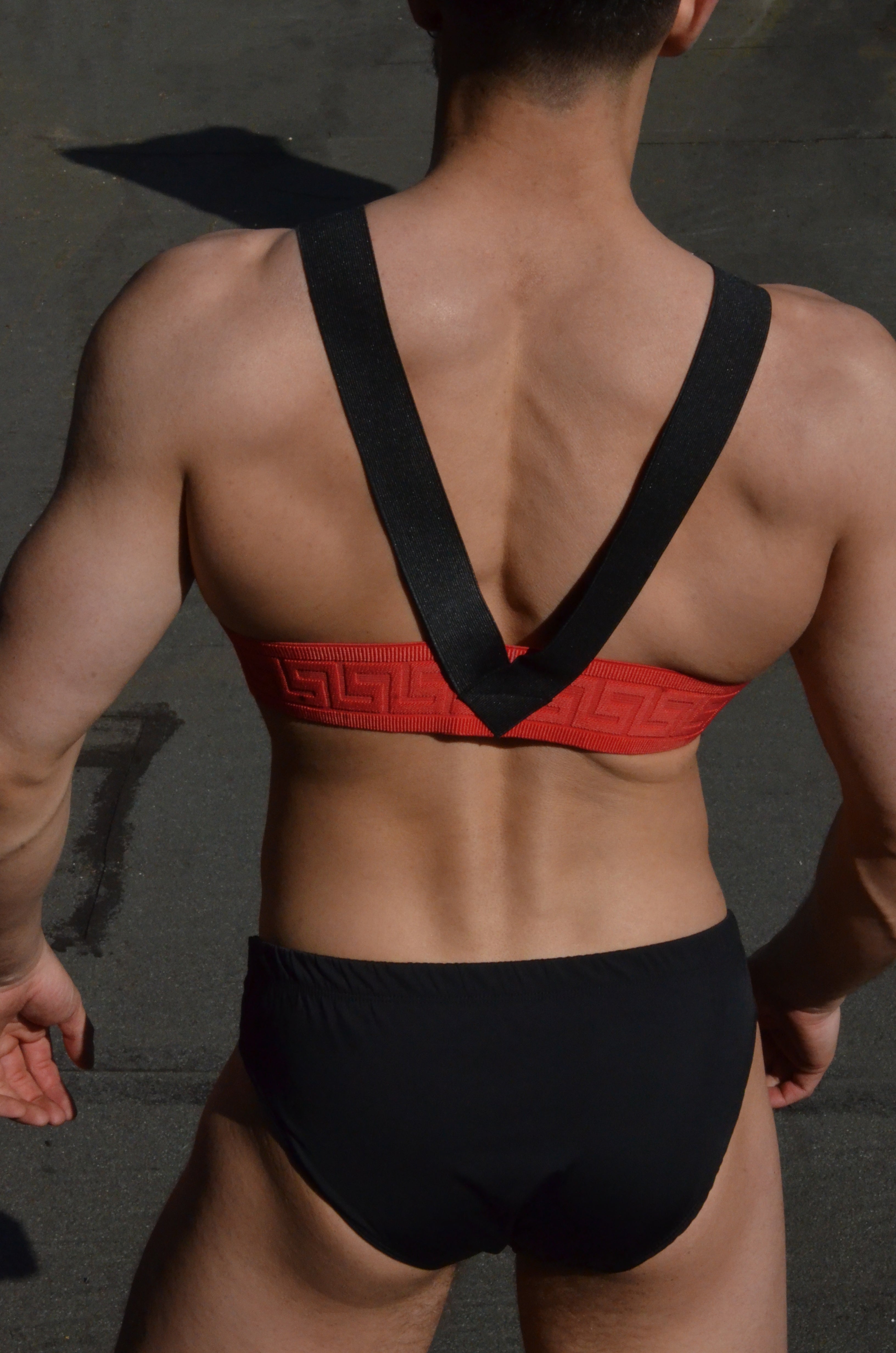 Harness, Classic V-Shape Chest Piece - Woven Finish Elastics