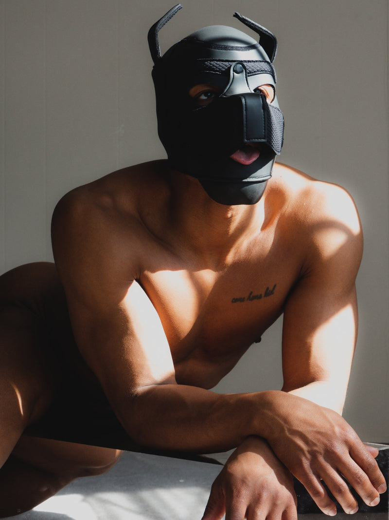 Puppy Hood - Neoprene