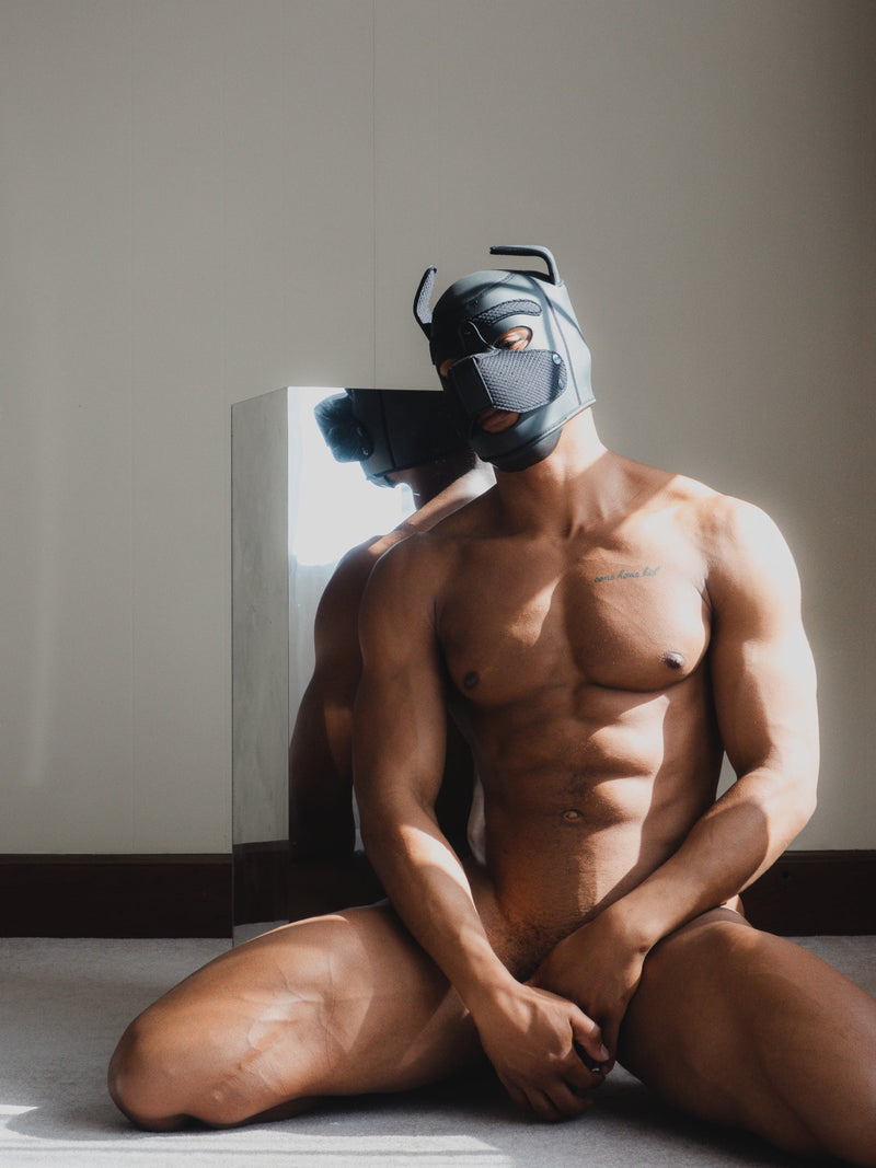 Puppy Hood - Neoprene