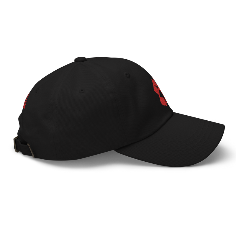 Baseball Hat - Successor - Embroidered