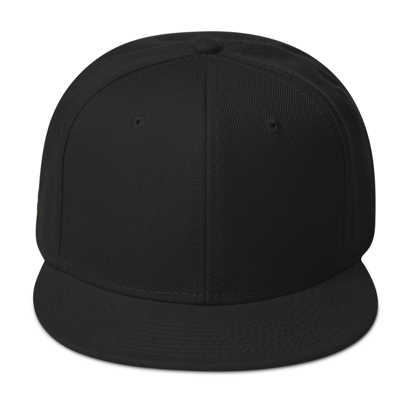 Snapback Hat - The Black Youth - Embroidered